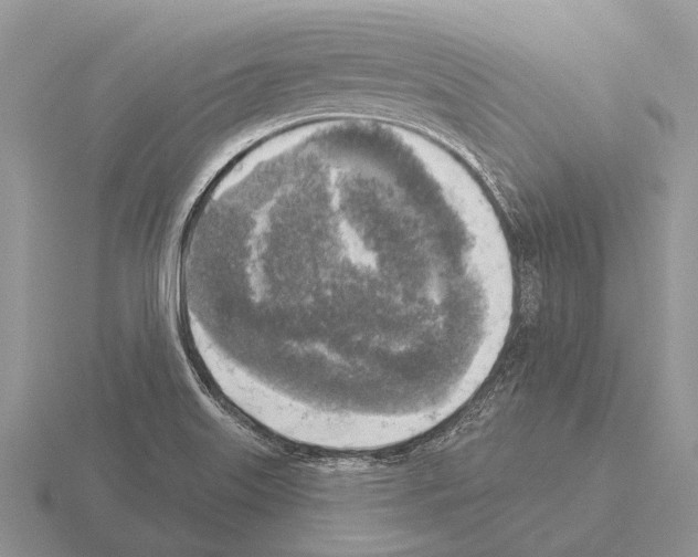 X0000115431515200912161424