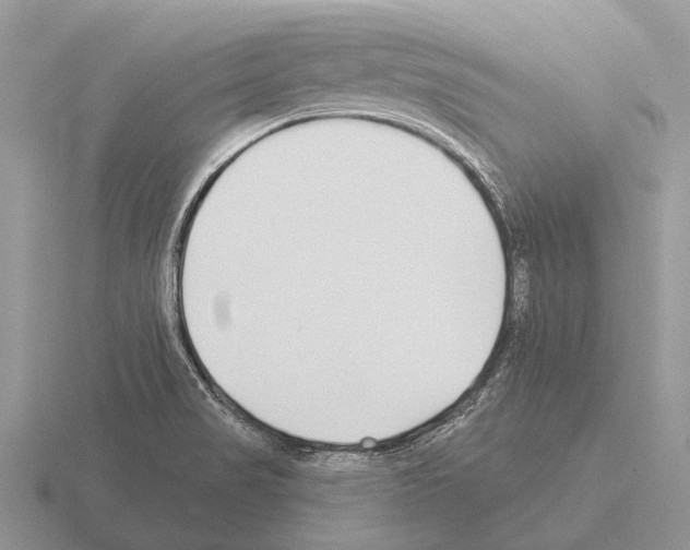 X0000115431517200912161424