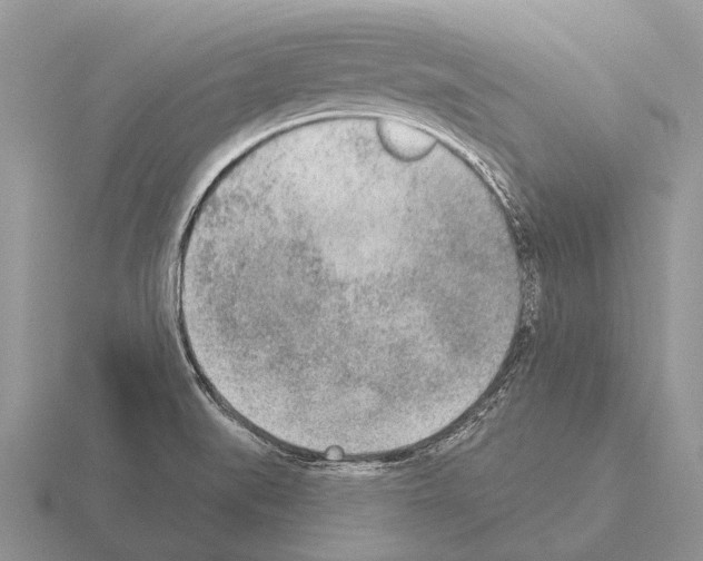 X0000115431519200912161424