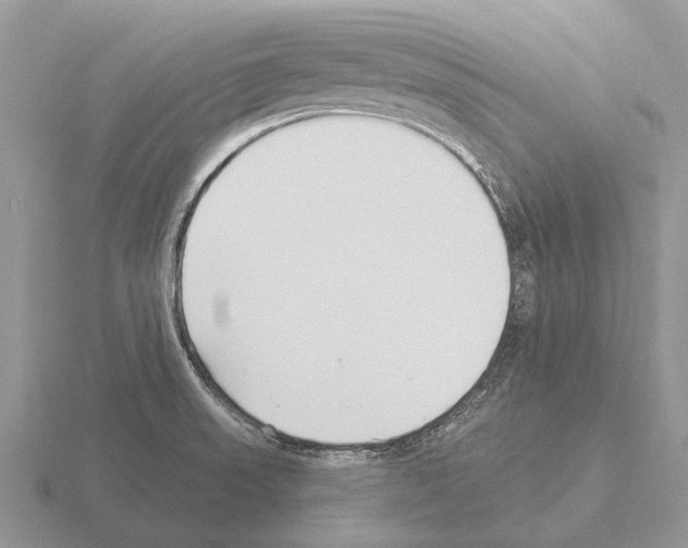 X0000115431523200912161424