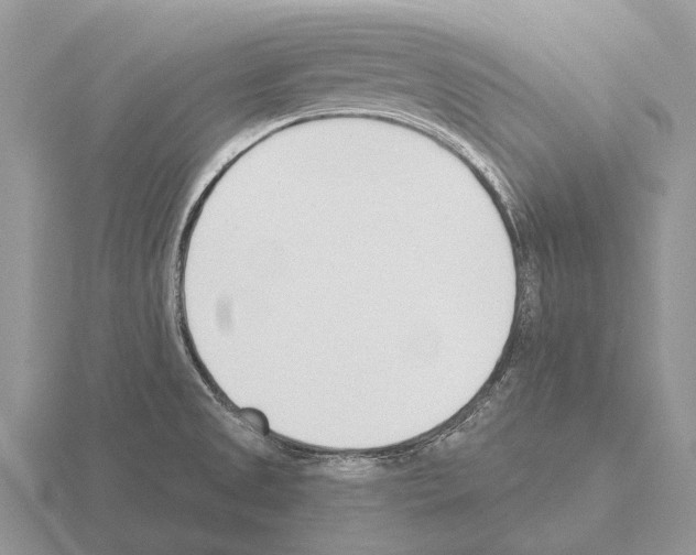 X0000115431525200912161424