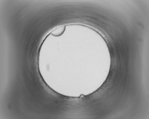 X0000115431526200912161424