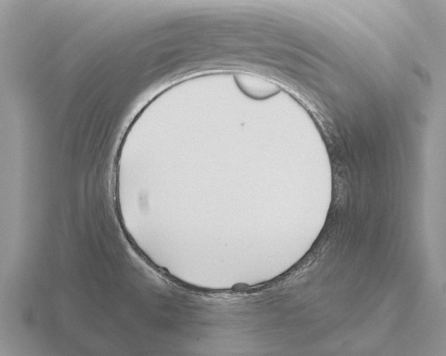 X0000115431527200912161424