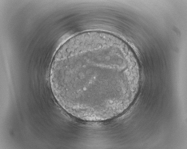 X0000115431529200912161424