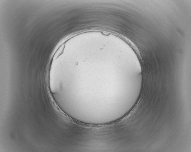 X0000115431530200912161424