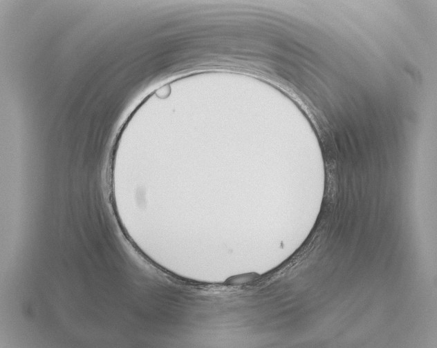 X0000115431531200912161424