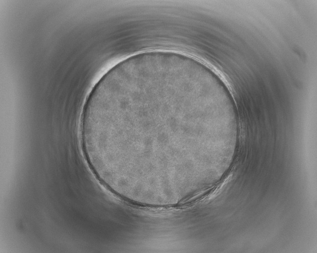 X0000115431533200912161424