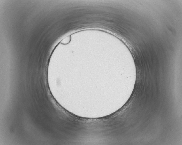 X0000115431534200912161424