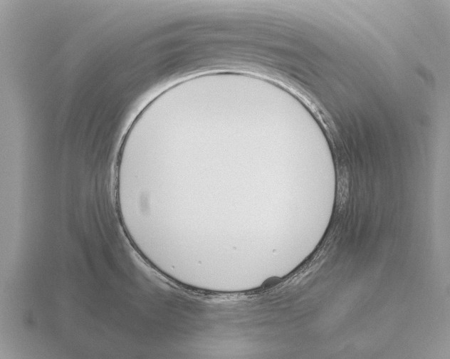 X0000115431535200912161424