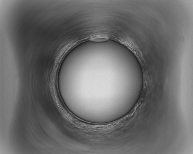 X0000115440001200911121132