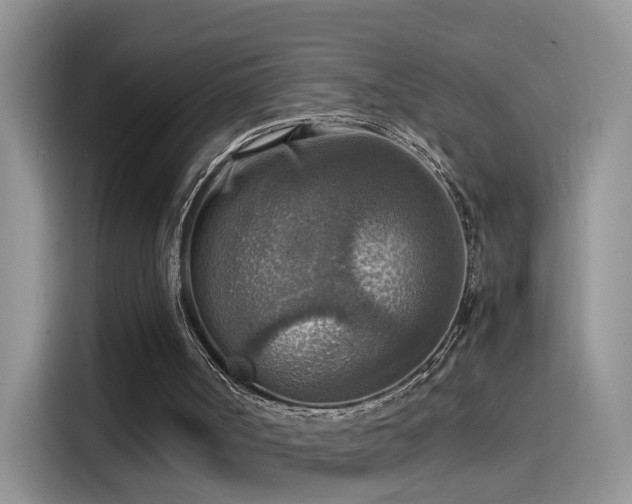 X0000115440002200911121132