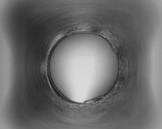 X0000115440003200911121132