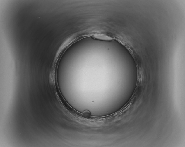 X0000115440004200911121132
