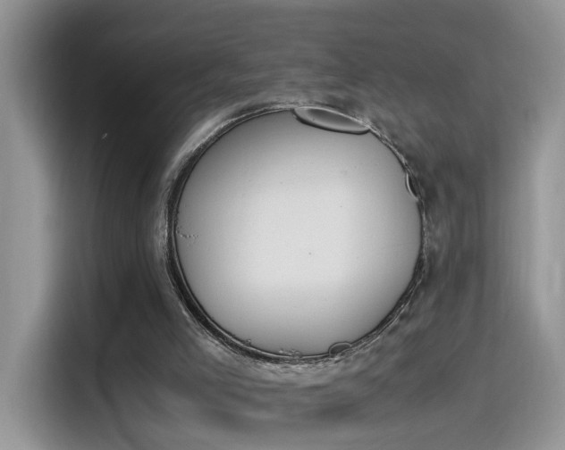 X0000115440005200911121132