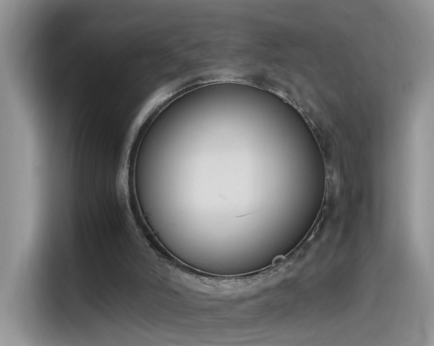 X0000115440006200911121132