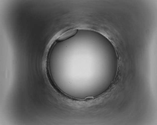 X0000115440007200911121132