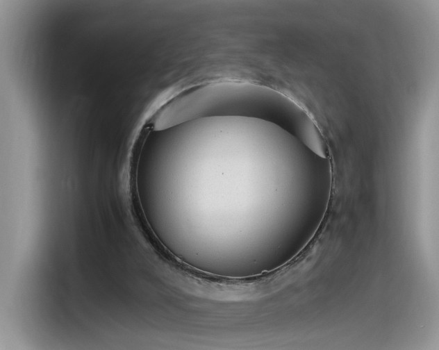 X0000115440008200911121132