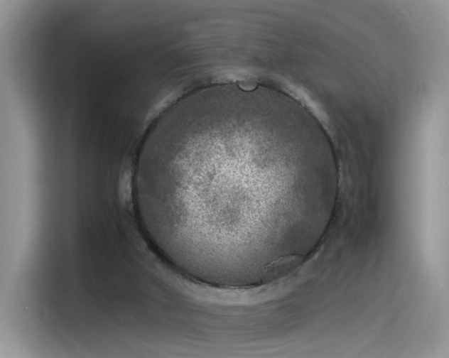 X0000115440010200911121132