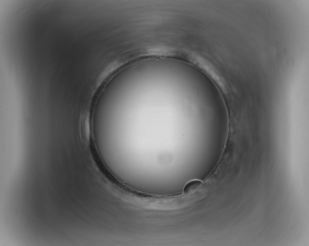 X0000115440011200911121132