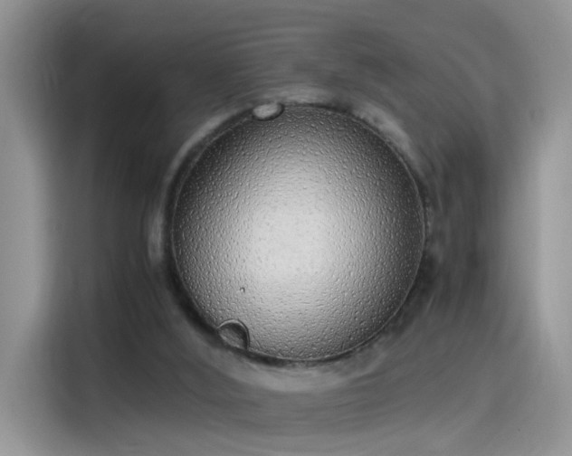 X0000115440012200911121132