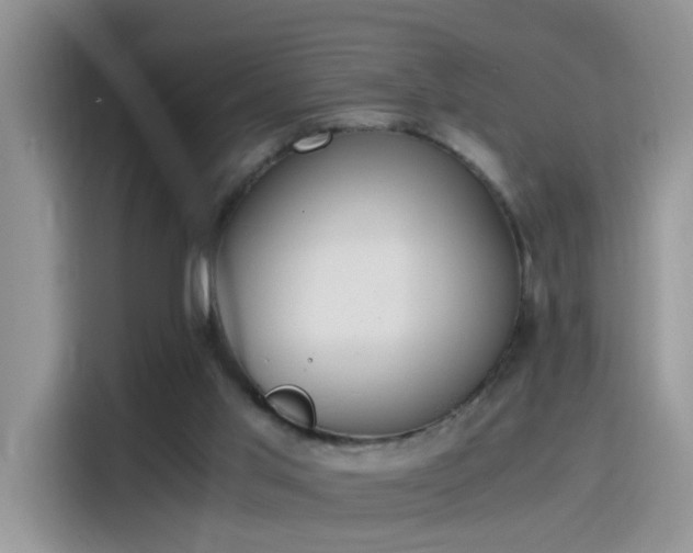 X0000115440013200911121132