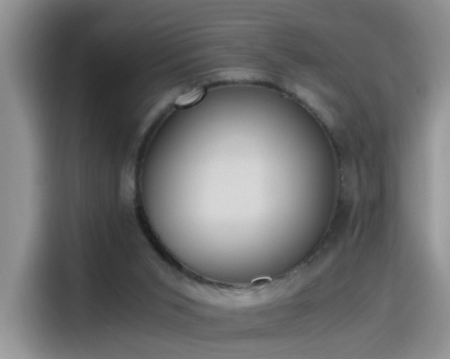 X0000115440015200911121132