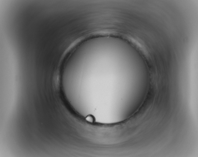 X0000115440016200911121132