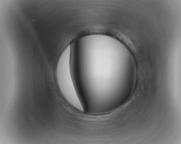 X0000115440017200911121132