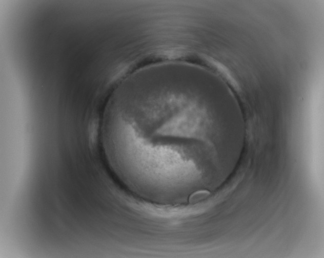 X0000115440018200911121132