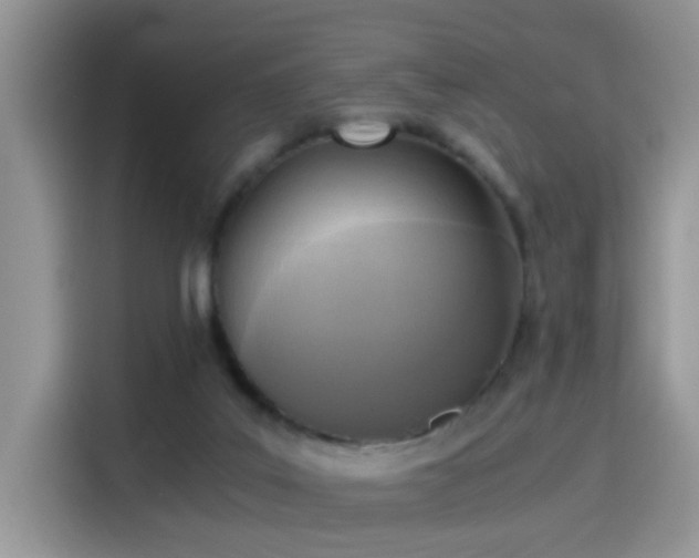 X0000115440019200911121132