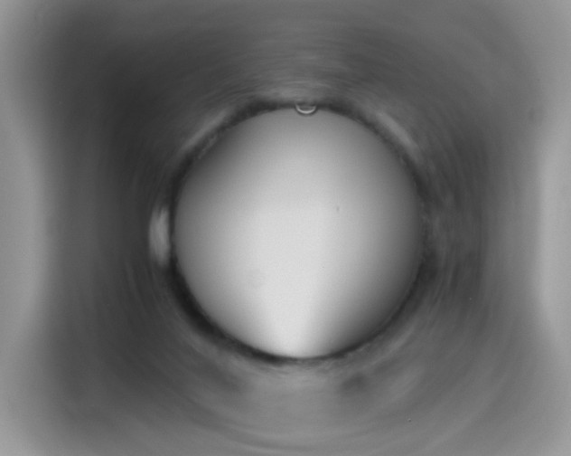 X0000115440020200911121132