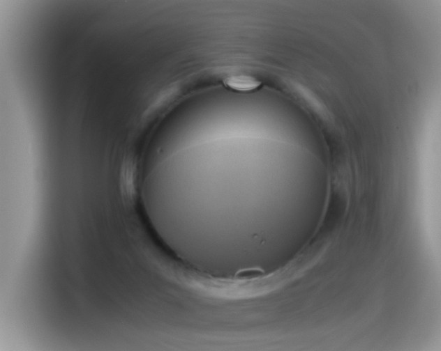 X0000115440023200911121132
