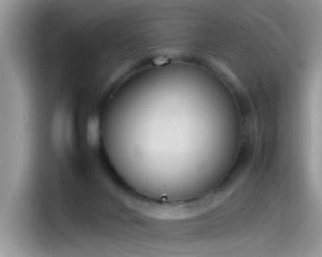 X0000115440024200911121132