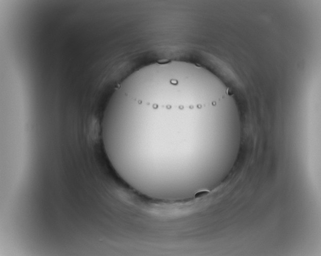 X0000115440025200911121132