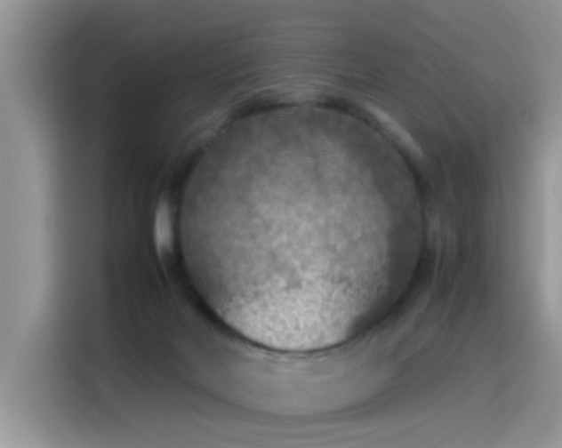 X0000115440026200911121132