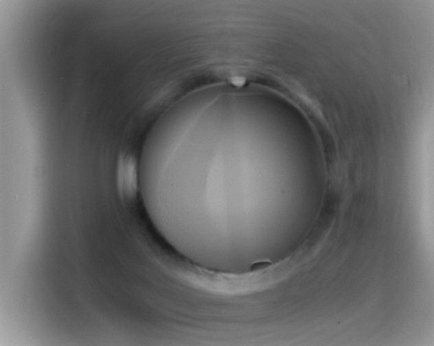 X0000115440027200911121132