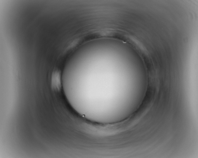X0000115440028200911121132
