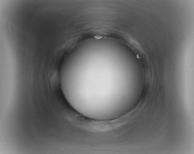 X0000115440029200911121132