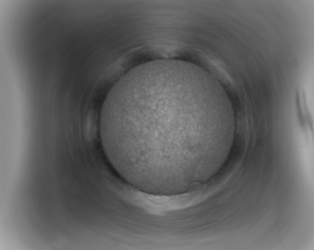 X0000115440030200911121132