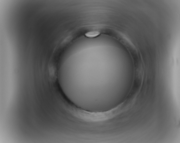 X0000115440031200911121132