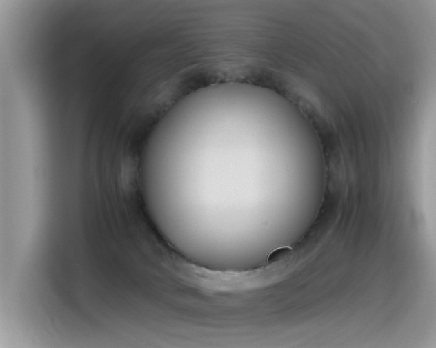 X0000115440034200911121132