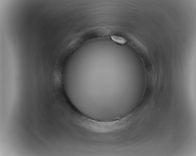 X0000115440035200911121132