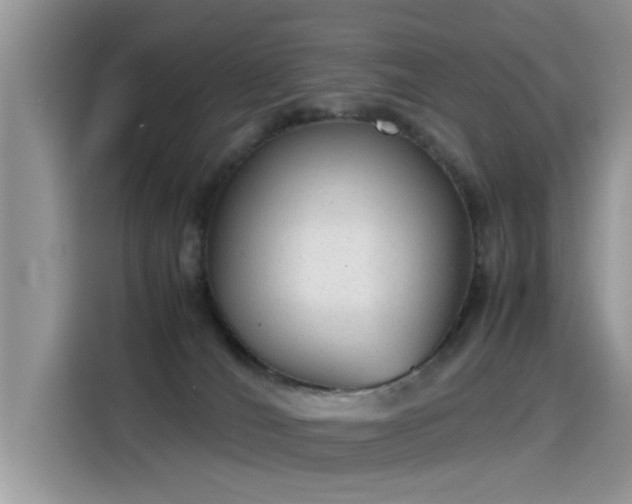 X0000115440036200911121132