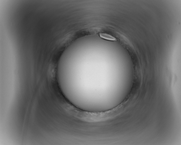 X0000115440037200911121132