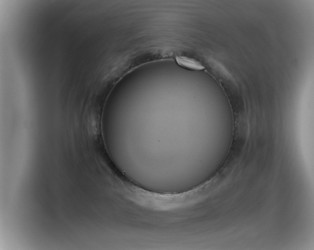 X0000115440039200911121132