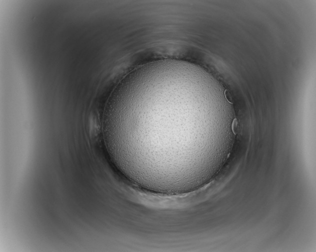 X0000115440040200911121132