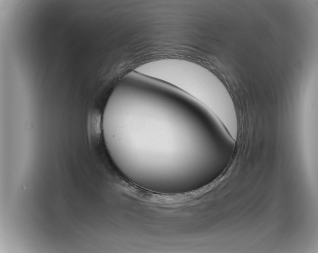 X0000115440041200911121132