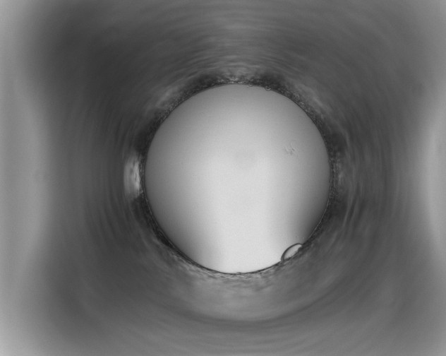 X0000115440042200911121132