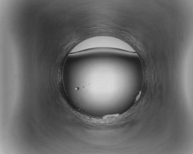 X0000115440043200911121132