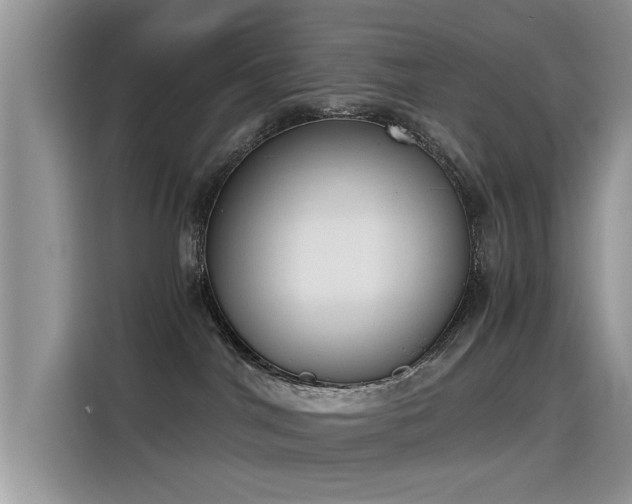 X0000115440044200911121132